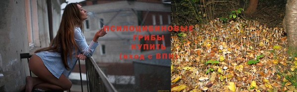 соль ск Абинск