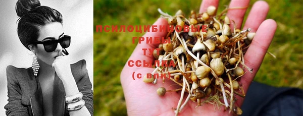 соль ск Абинск